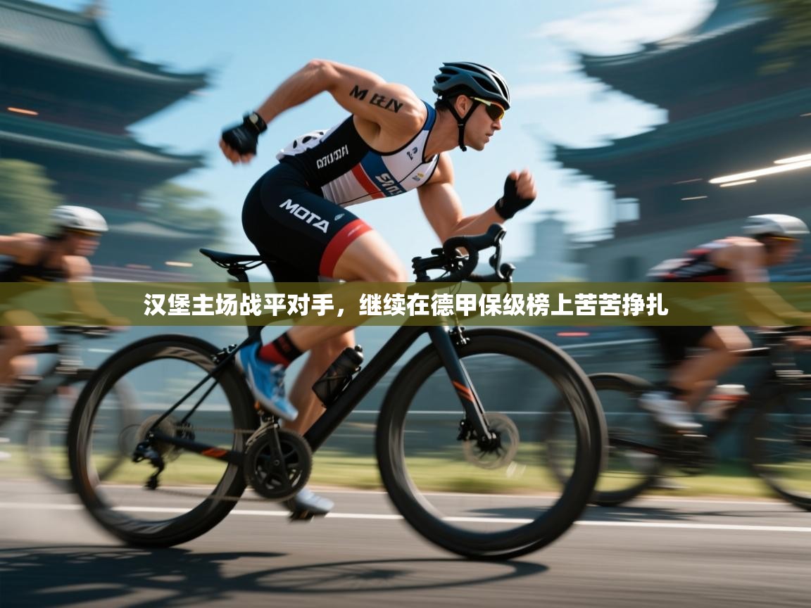 汉堡主场战平对手,继续在德甲保级榜上苦苦挣扎 第2张