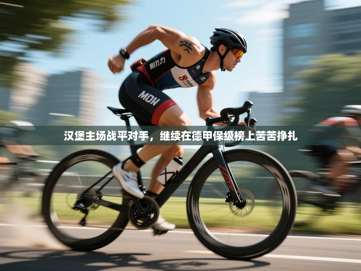 汉堡主场战平对手,继续在德甲保级榜上苦苦挣扎 第1张