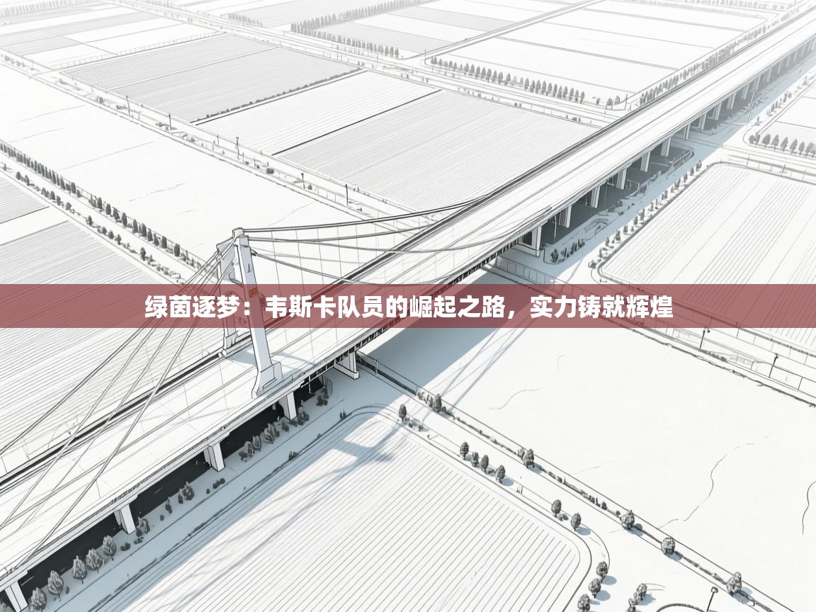 绿茵逐梦：韦斯卡队员的崛起之路，实力铸就辉煌  第1张