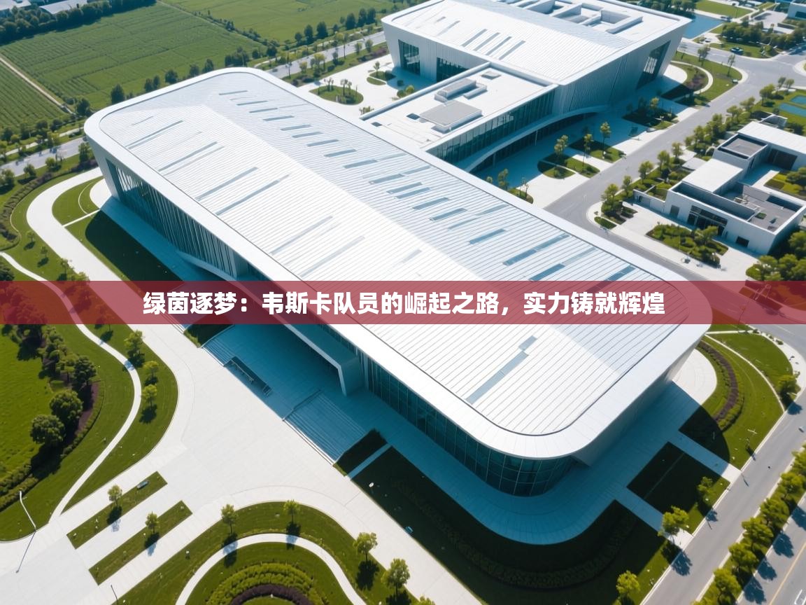 绿茵逐梦：韦斯卡队员的崛起之路，实力铸就辉煌  第2张